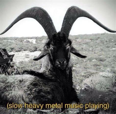 slow black metal music playing goat house|the Mountain Goats .